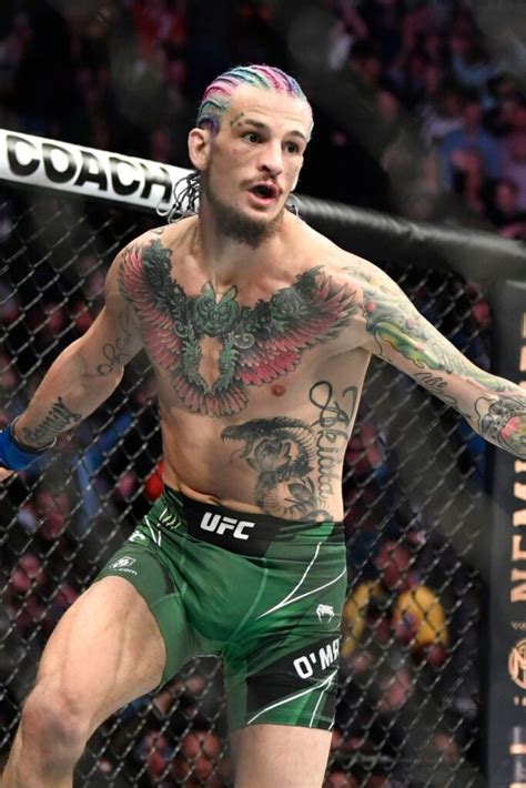 sean omalley networth|Sean OMalley Net Worth: What is the UFC fighters。